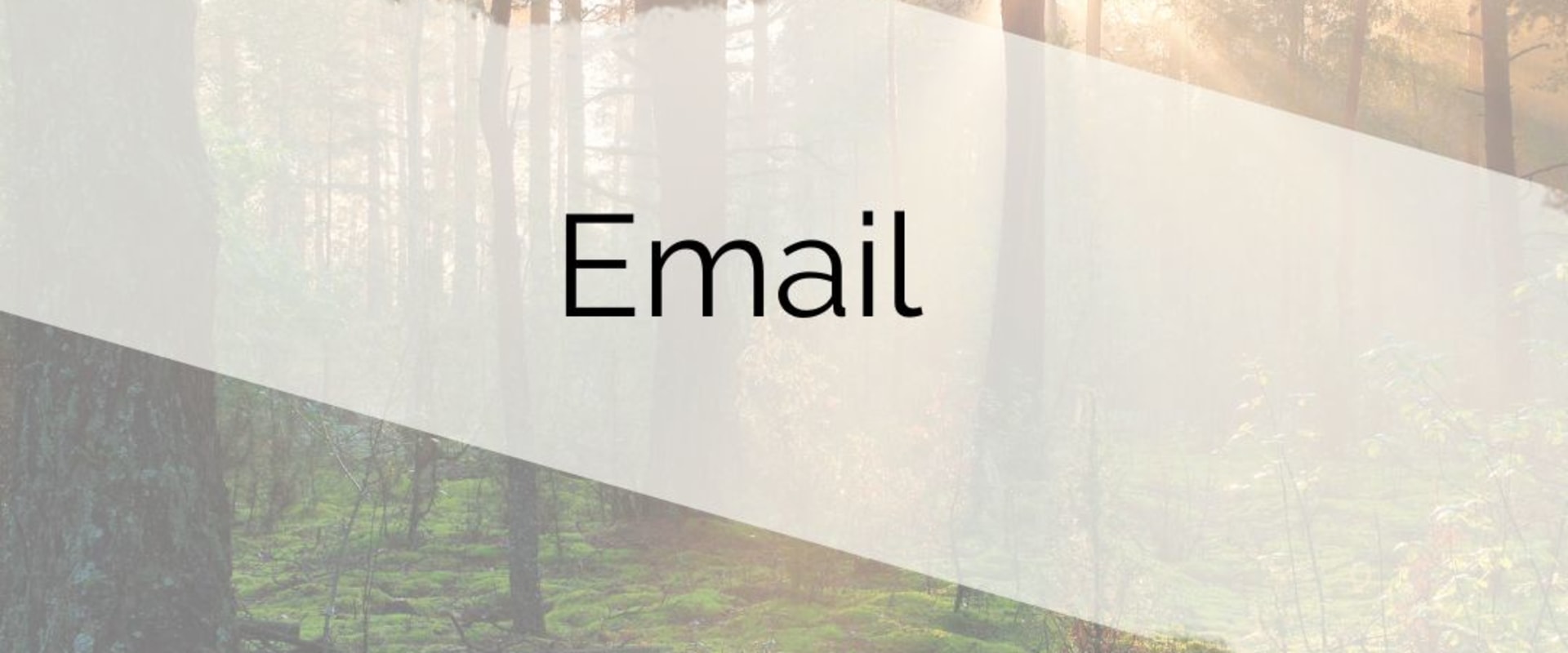 Exploring Email Marketing Services in Indianapolis