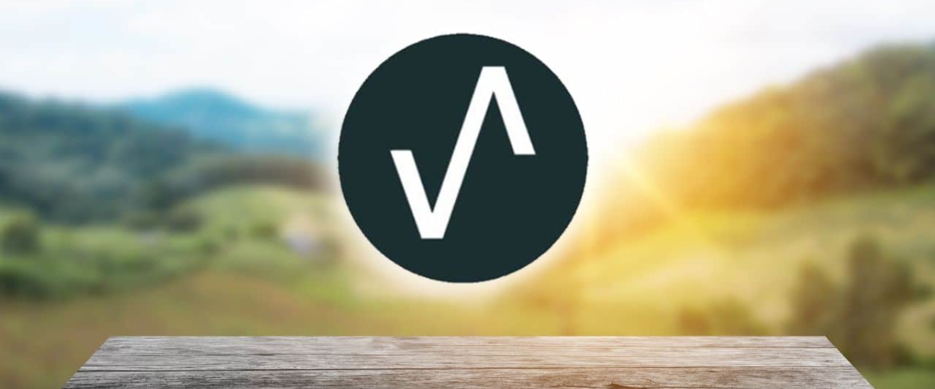 The Value of Digital Marketing for Local Businesses in Indianapolis