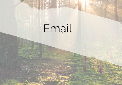 Exploring Email Marketing Services in Indianapolis